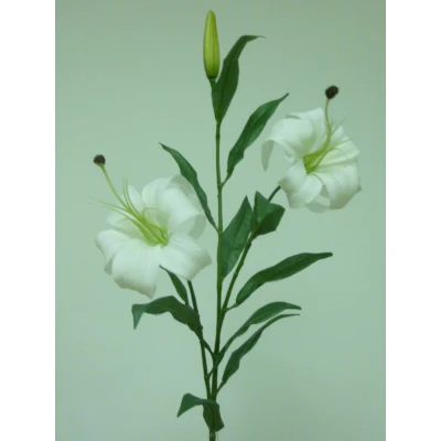 85cm Lily Cream