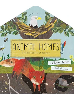 Animal Homes