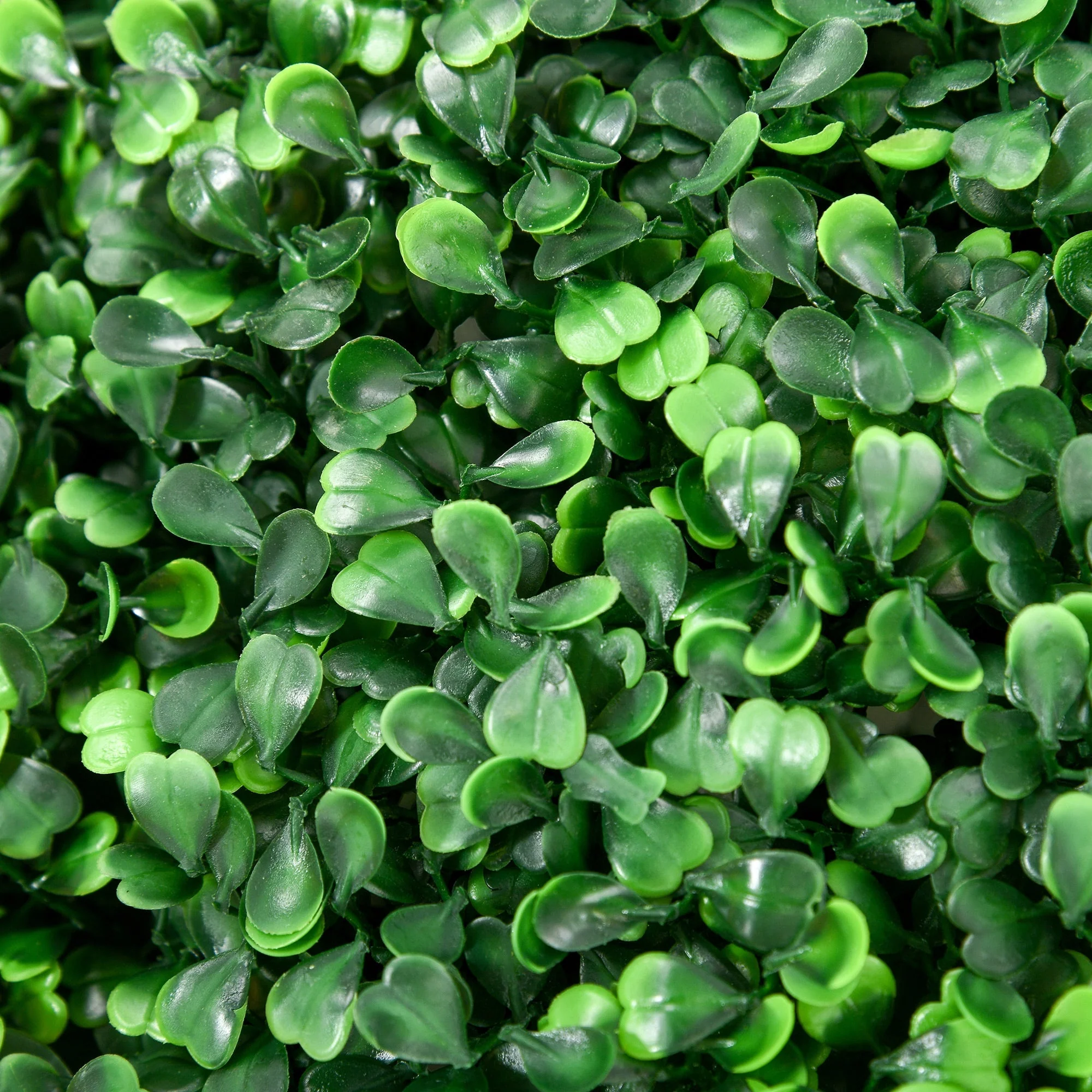 Artificial Boxwood Balls, 50 cm, Set of 2, Plastic - Image 8