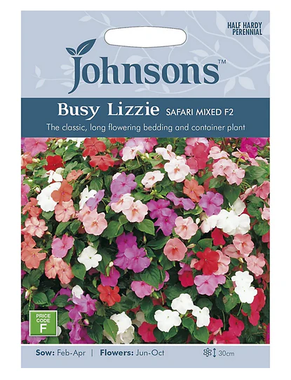 Busy Lizzie - Safari Mixed