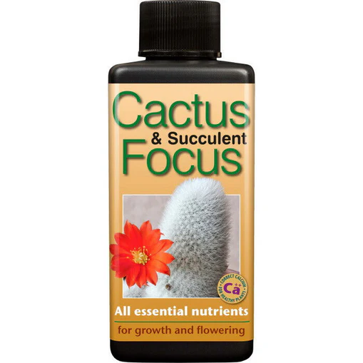Cactus Focus 100ml