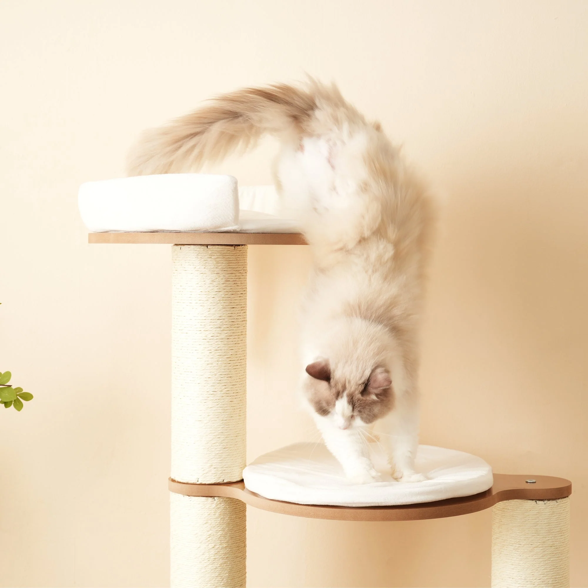 Cat Tree 135cm XXL Trunk Stable 3-Level Platforms Waterproof - Image 5