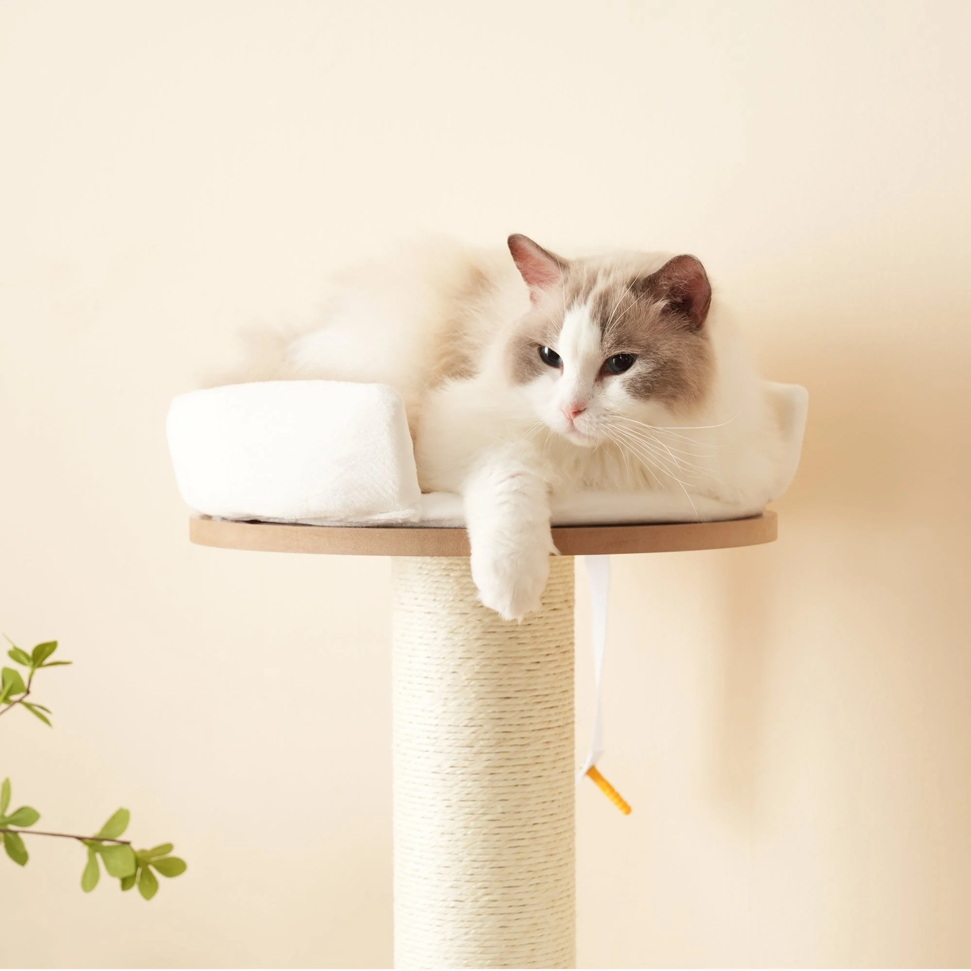Cat Tree 135cm XXL Trunk Stable 3-Level Platforms Waterproof - Image 7