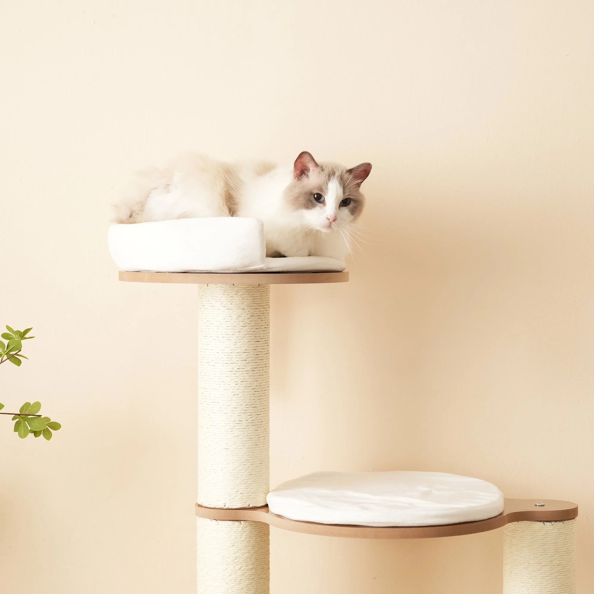 Cat Tree 135cm XXL Trunk Stable 3-Level Platforms Waterproof - Image 8