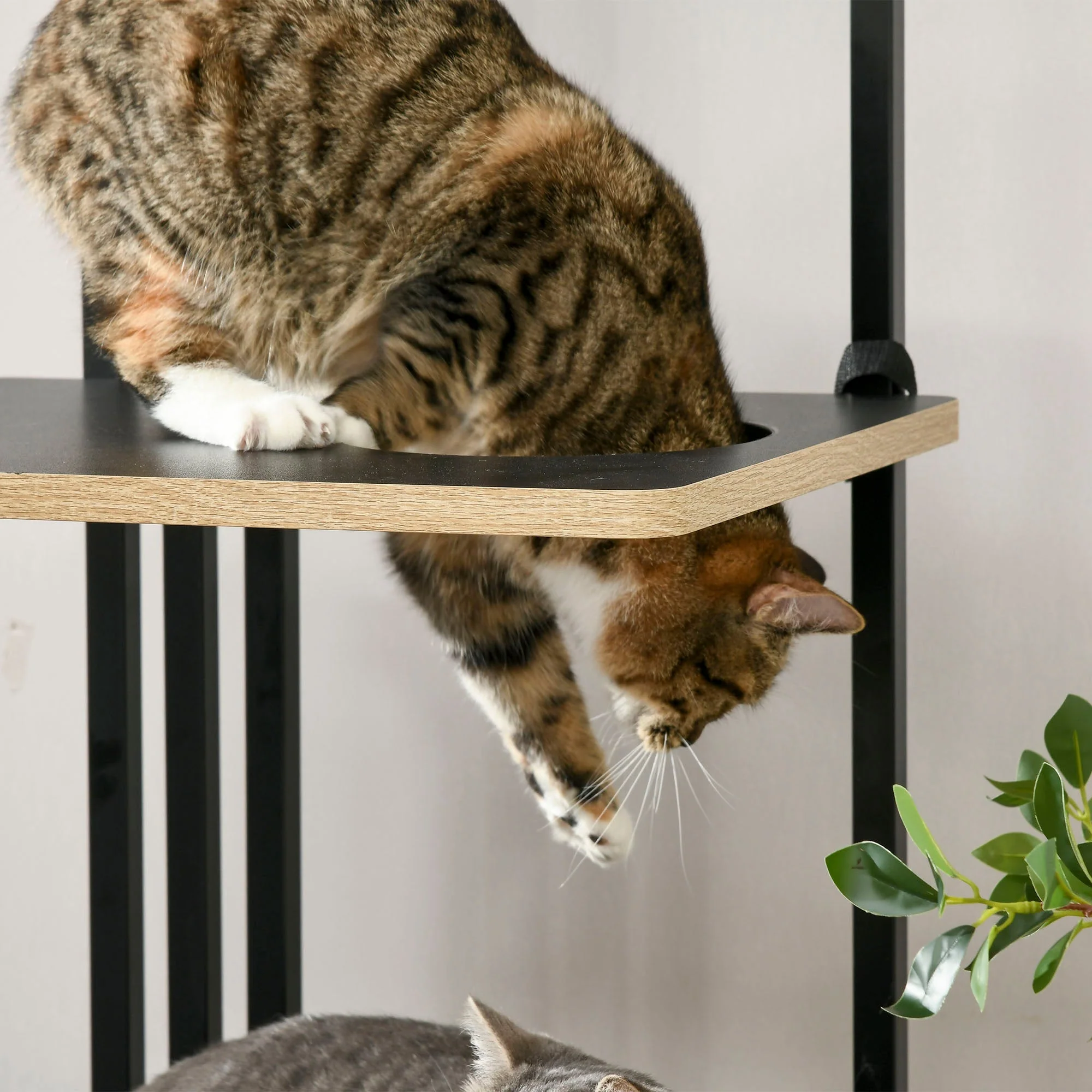 Cat Tree Large 170cm Cushion 3 Platforms Steel Black - Image 7