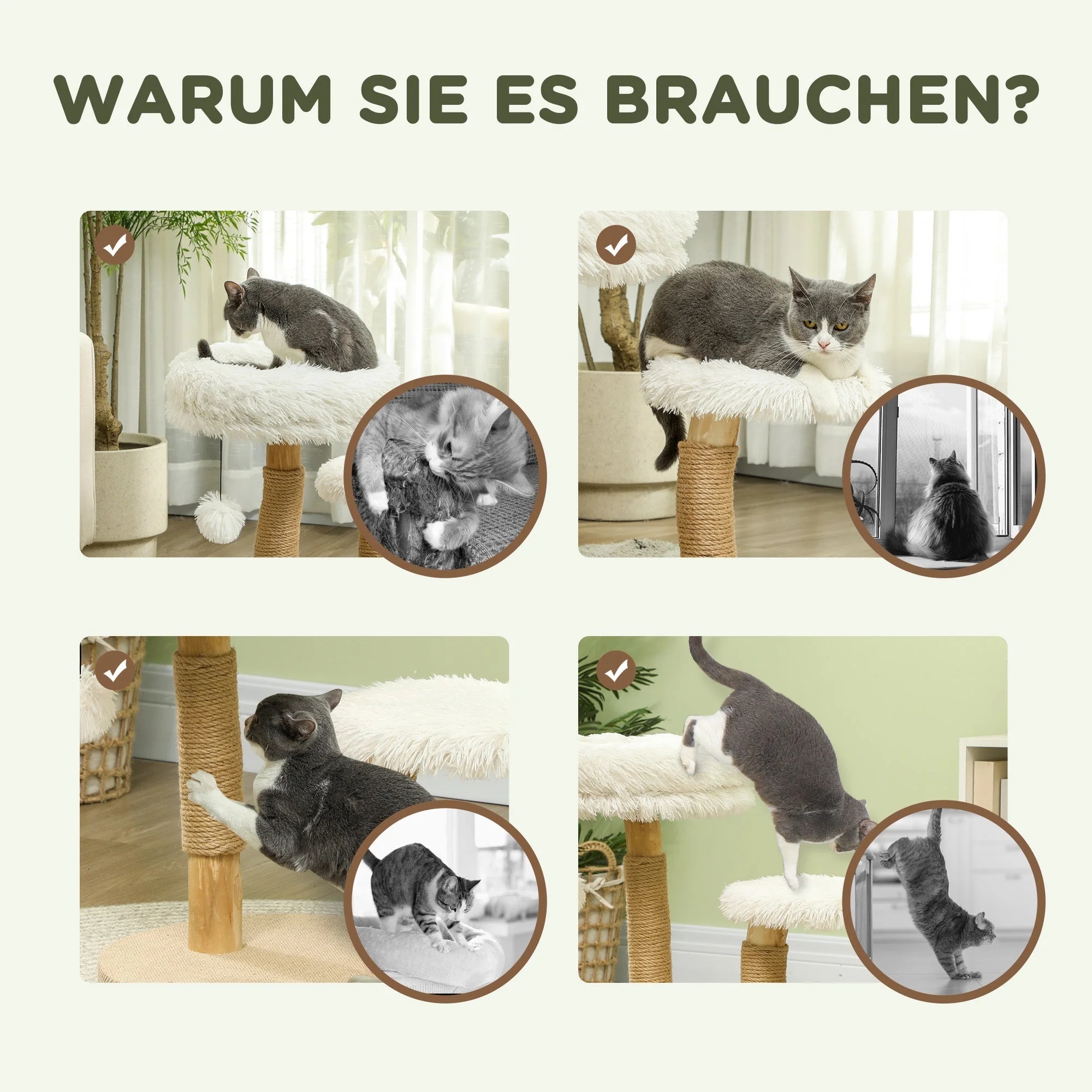 Cat Tree, Play Ball, Beds, Scratching Board, Pearwood White - Image 6