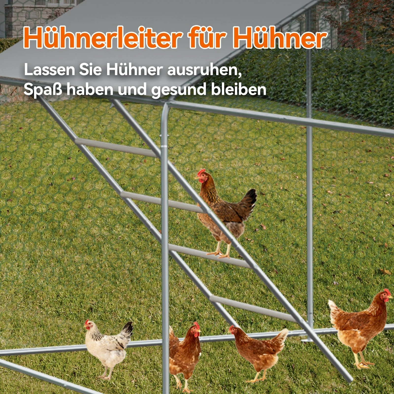 Chicken Run 3x6x2m with Safety Lock & Waterproof PE Cover - Metal - Image 8