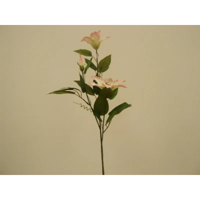 Clematis spray lt pink