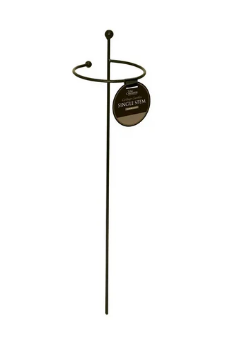 Cottage Garden Single Stem- Small