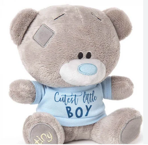 Cutest Little Boy Teddy