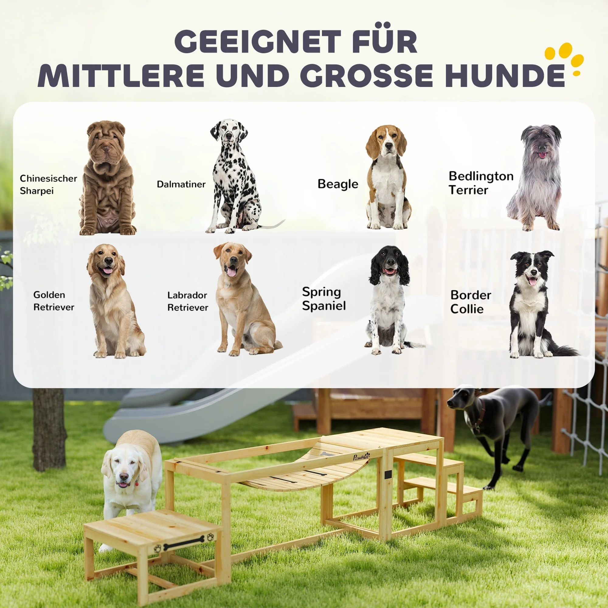 Dog Agility Set, 4-piece training, Fir Wood - Image 6
