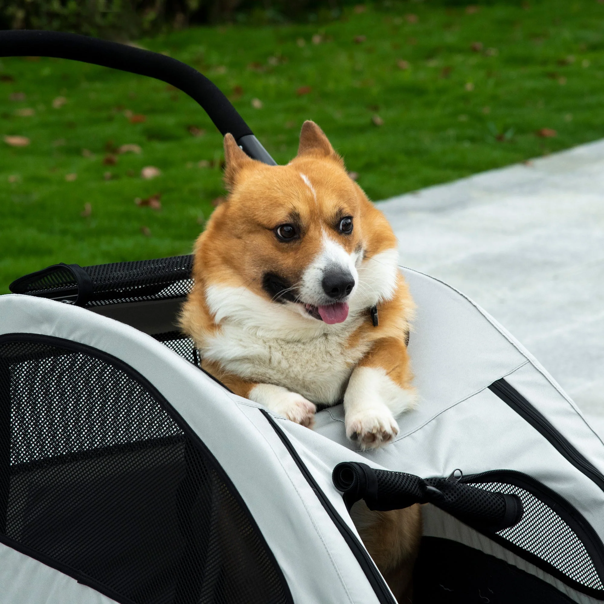 Dog Stroller, Foldable 4 Wheels Mesh Window, Oxford Fabric - Image 7