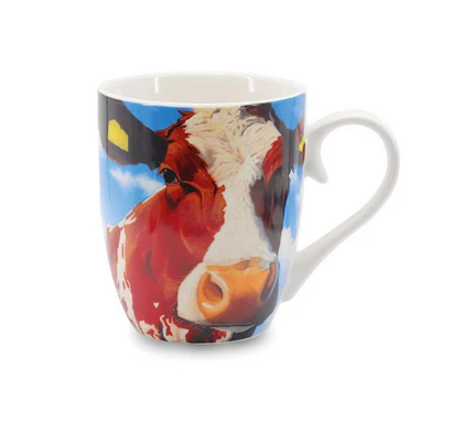 Eoin o'Connor Mug - The Surveyor