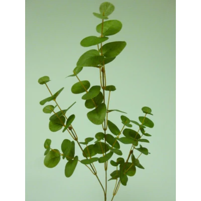 Eucalyptus Spray 74cm