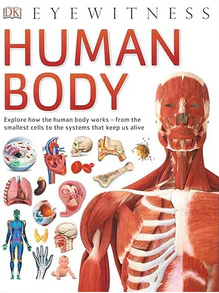 Eyewitness Human Body