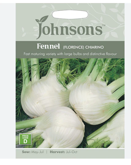 Fennel - Florence Chiari