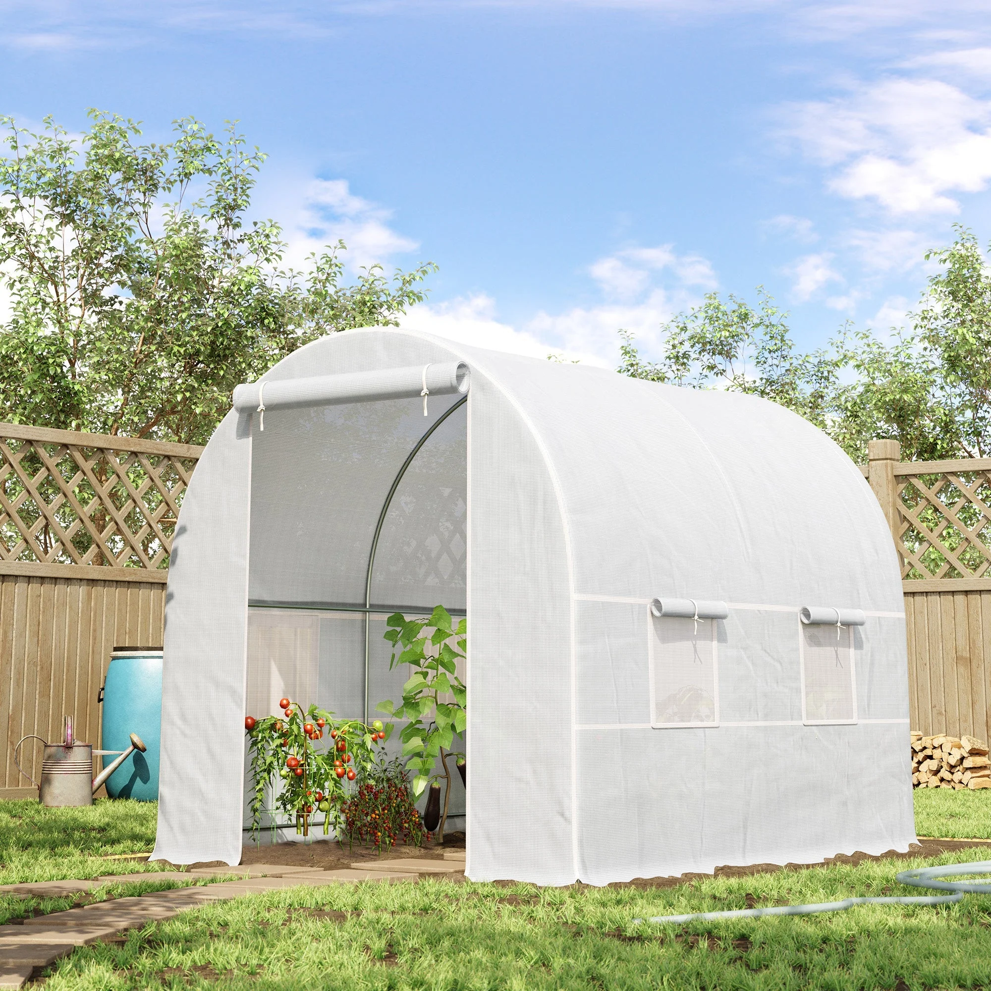 Foil Greenhouse, Hothouse Plant House 245x200x200 cm, Foil Material - Image 2