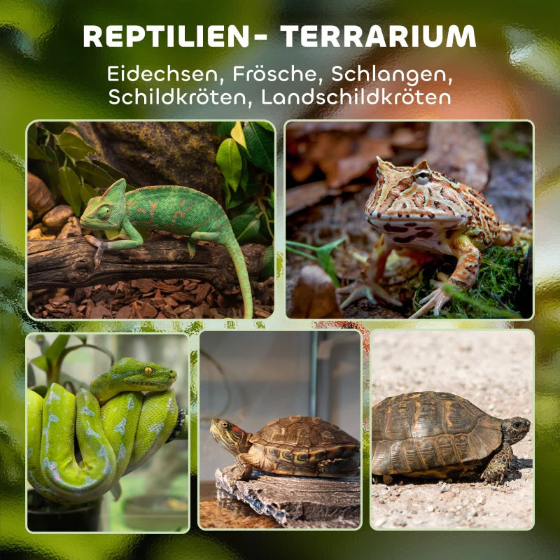 Glass Reptile Terrarium, Raised, Waterproof Base, Button Lock - Image 3