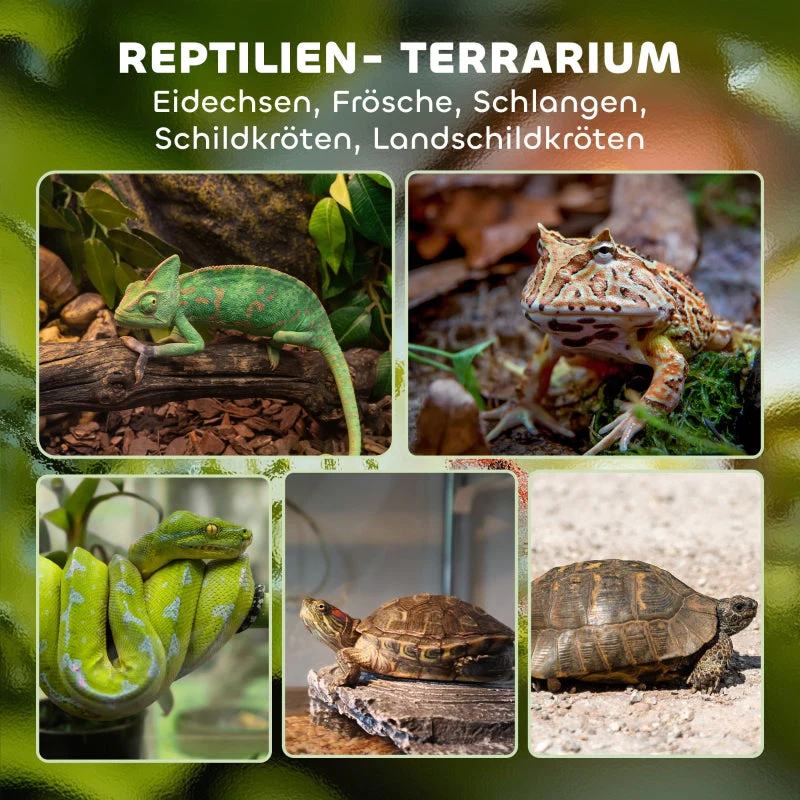 Glass Terrarium, Raised Waterproof Base with Button Lock, for Reptiles - Image 3