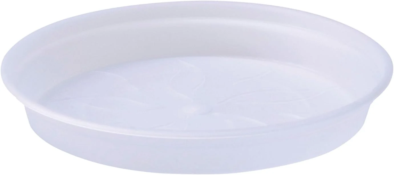 Green Basics Orchid Saucer 14Cm (Clear)