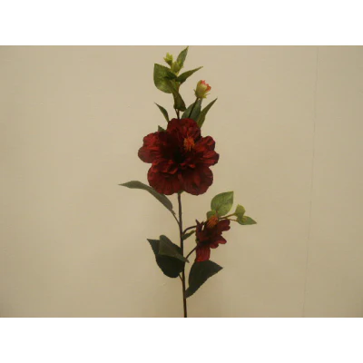 Hibiscus Red