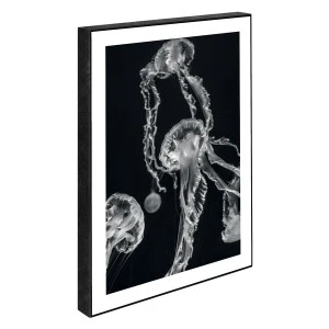 Jelly, 15x 21 cm.