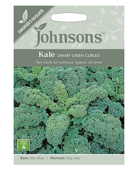 Kale - Dwarf Green Curled