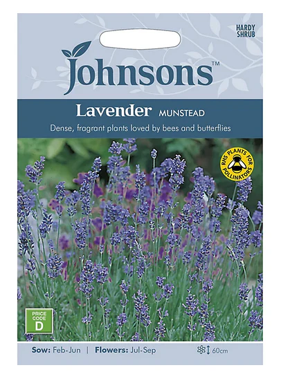 Lavender - Munstead