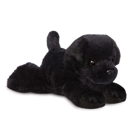 MF Blackie Black Labrador