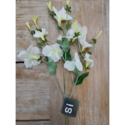 Morning Glory Spray Cream 24"