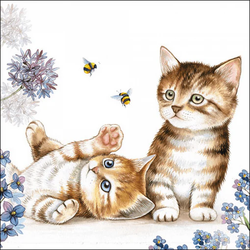 Paper Napkins - Cats & Bees