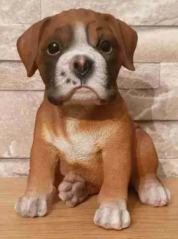 Pet Pals - Boxer