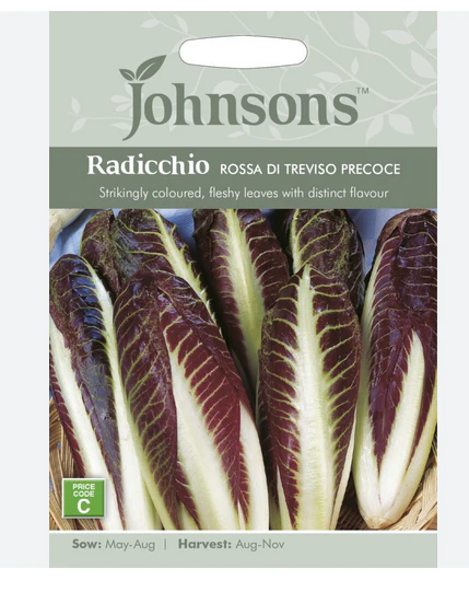 Radicchio - Rossa di Trevi