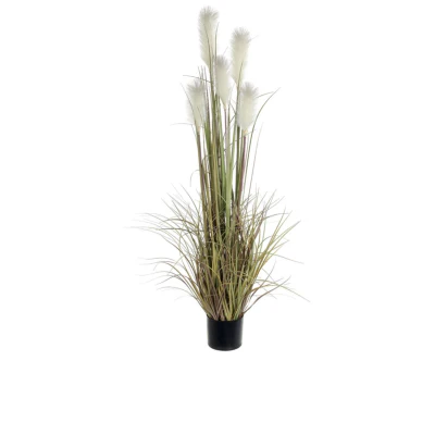 Reed Grass Cream 152cm