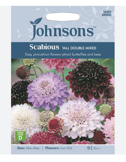 Scabious - Tall Double Mix