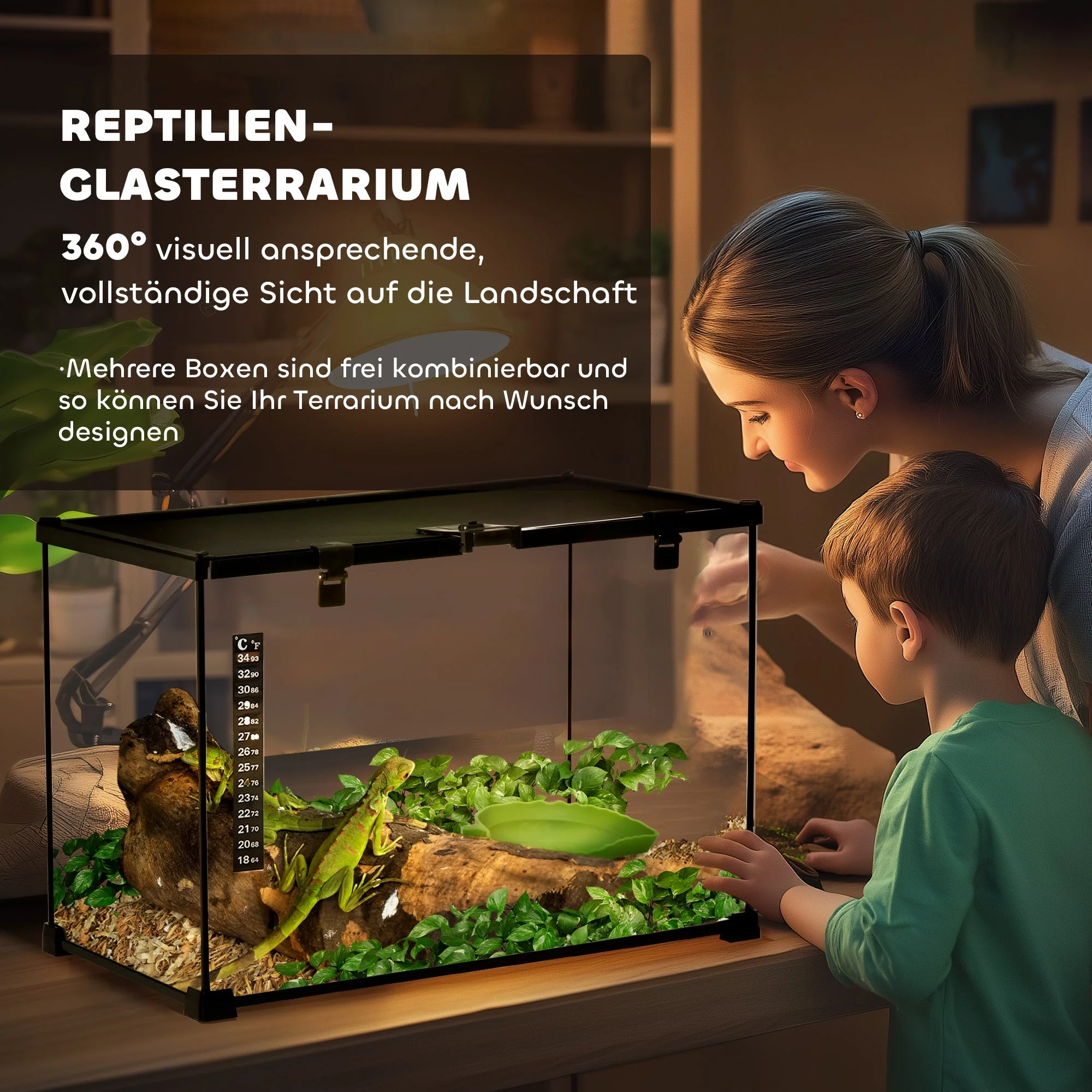Terrarium, Glass Feeding Box for Reptiles, Metal - Image 4