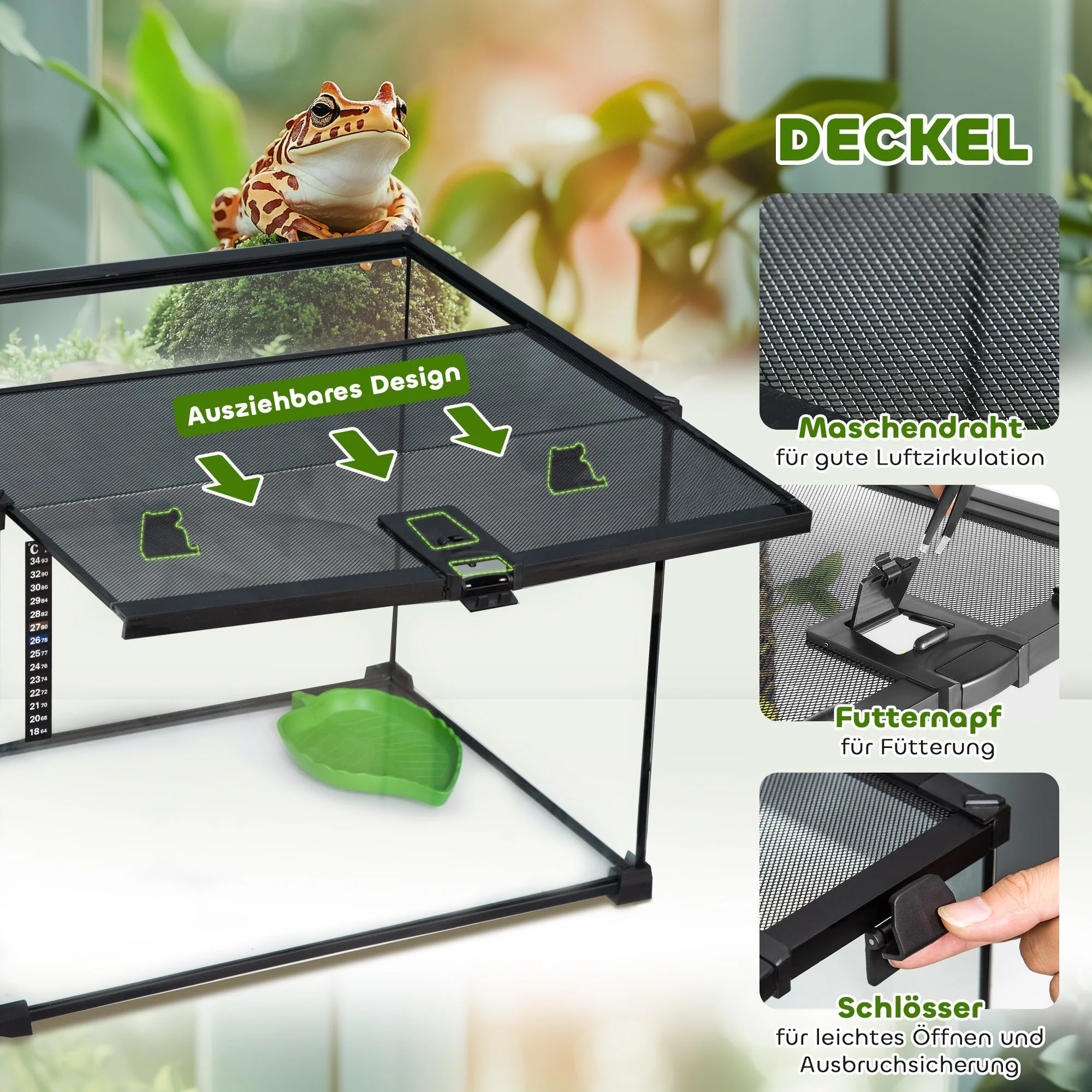 Terrarium, Glass Feeding Box for Reptiles, Metal - Image 5