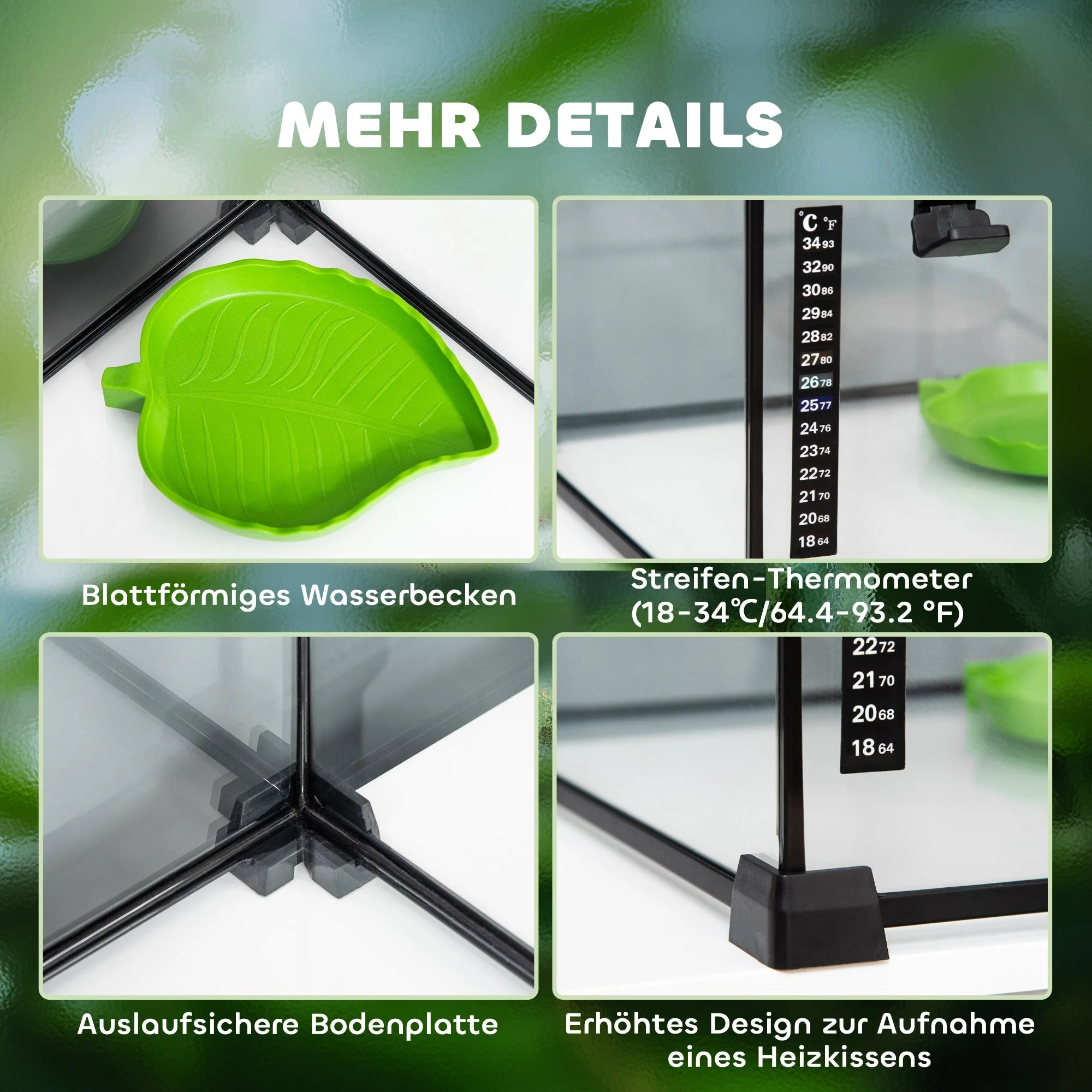 Terrarium, Glass Feeding Box for Reptiles, Metal - Image 6