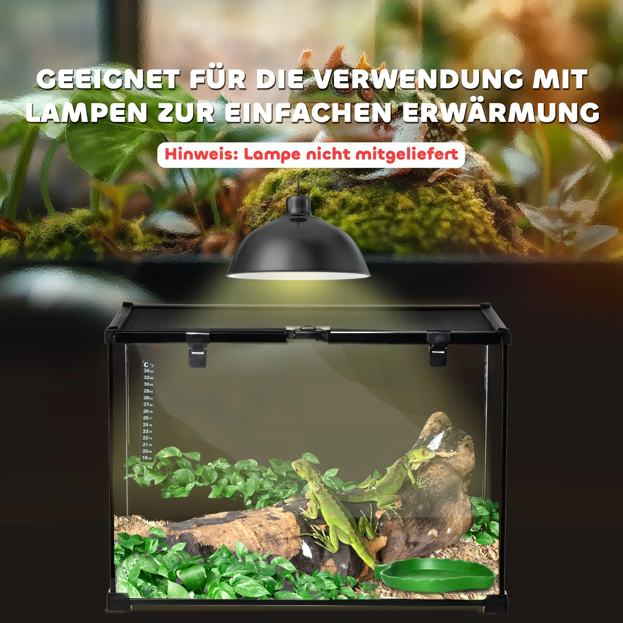 Terrarium, Glass Feeding Box for Reptiles, Metal - Image 7
