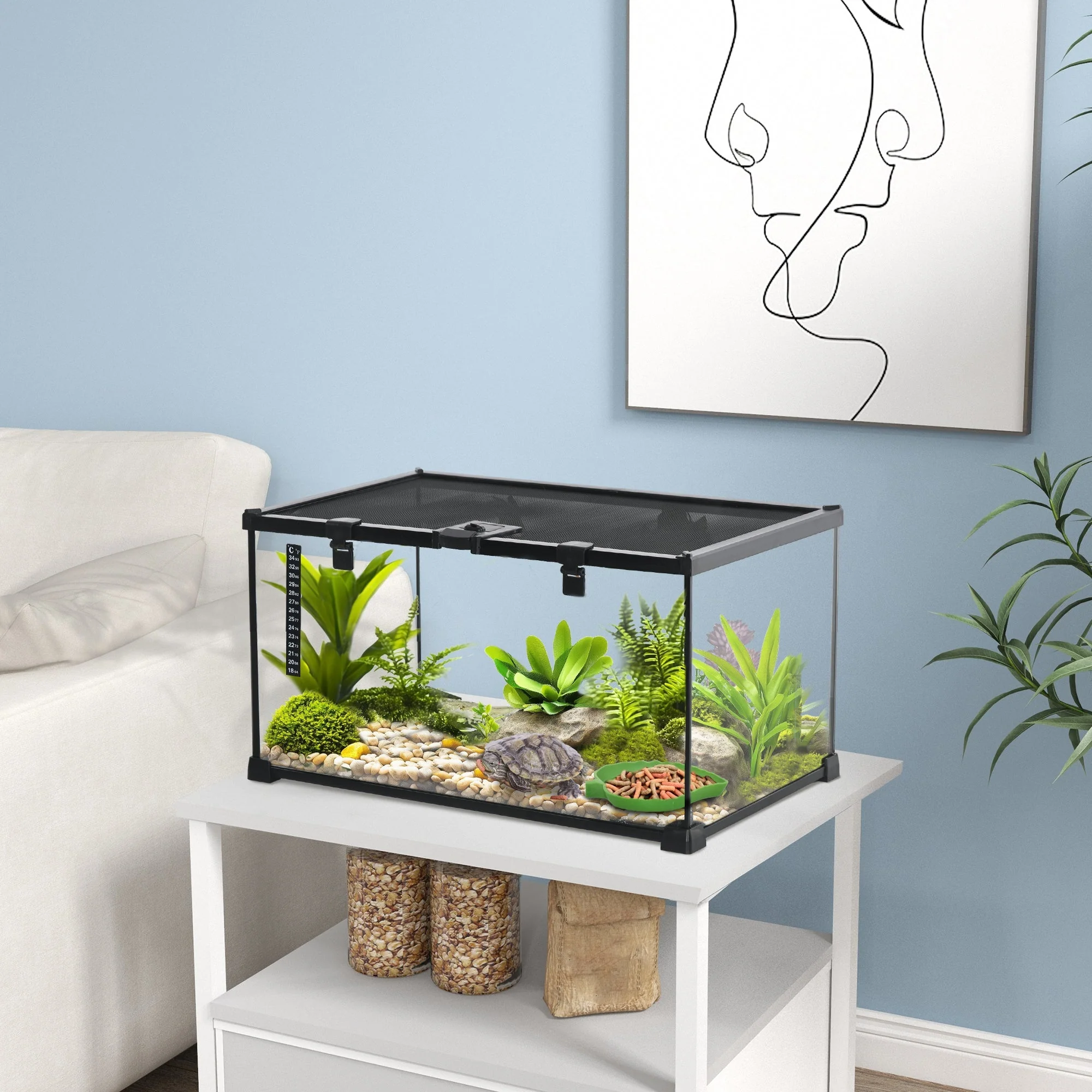 Terrarium, Reptile Feeding Box, Glass
