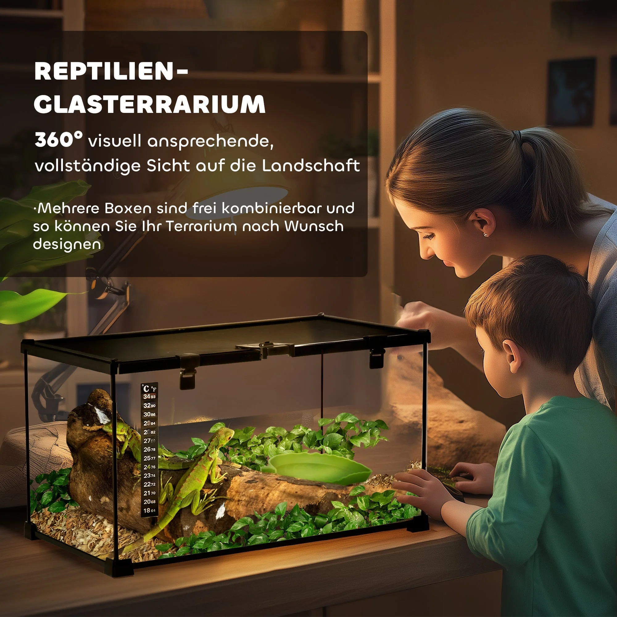Terrarium, Reptile Feeding Box, Glass - Image 4