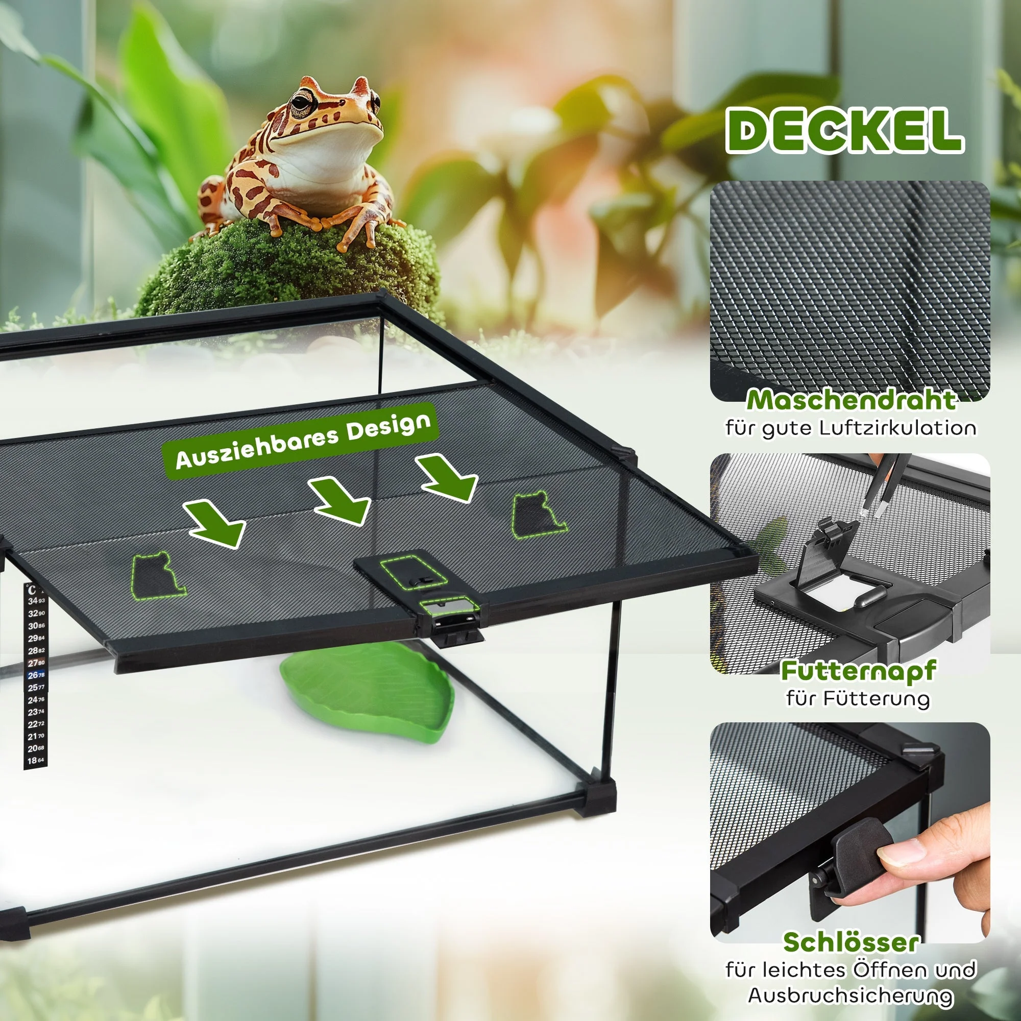 Terrarium, Reptile Feeding Box, Glass - Image 5