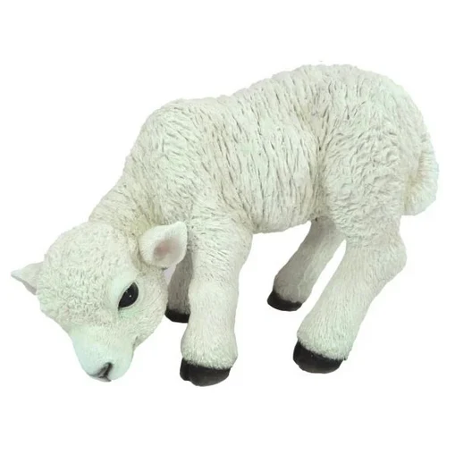 VA RL  Lamb D
