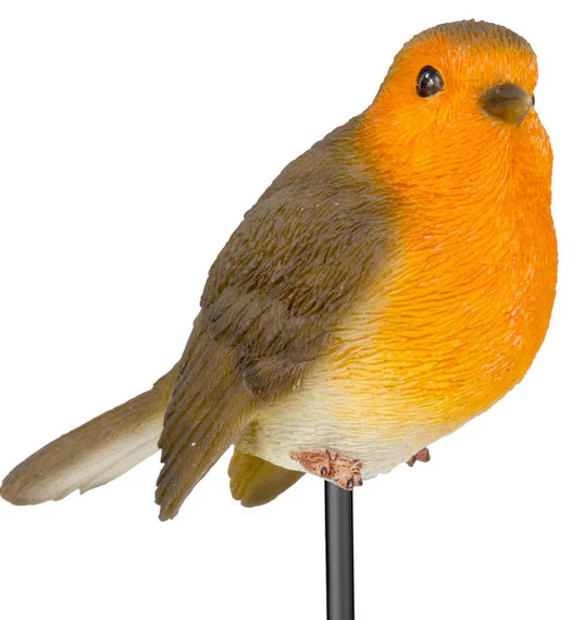 VA Robin Plant Pal