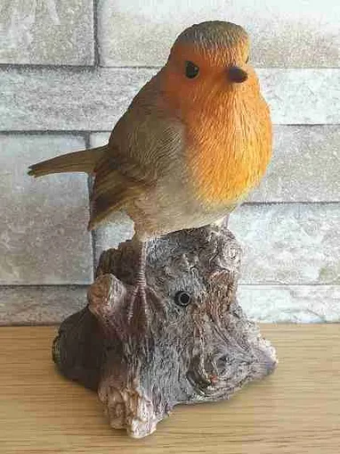 VA Singing Robin on Stump
